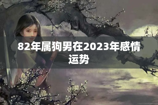 82年属狗男在2023年感情运势