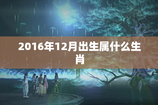 2016年12月出生属什么生肖