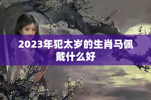 2023年犯太岁的生肖马佩戴什么好