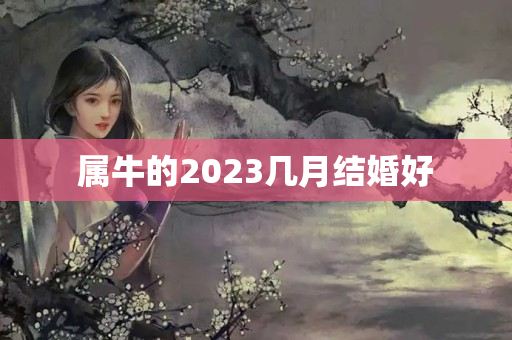 属牛的2023几月结婚好