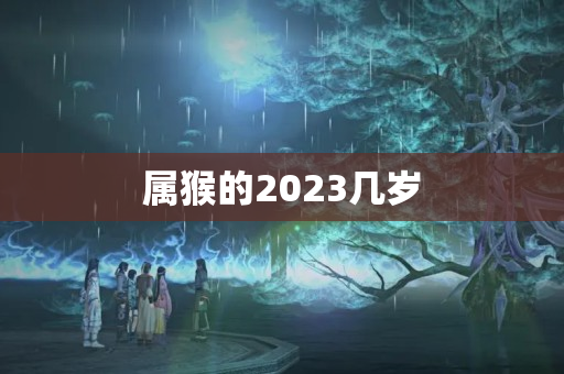 属猴的2023几岁