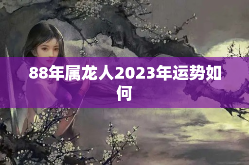 88年属龙人2023年运势如何