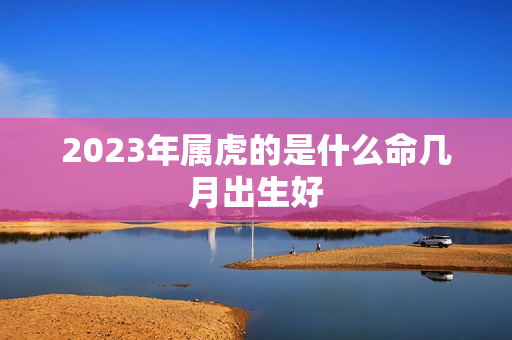 2023年属虎的是什么命几月出生好