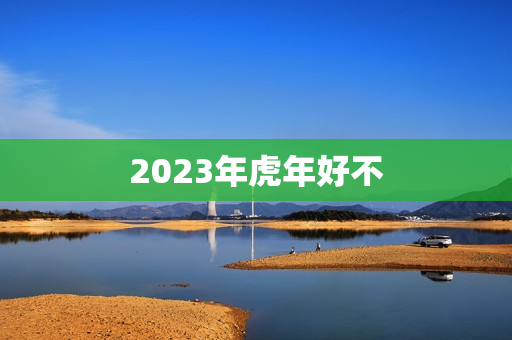 2023年虎年好不