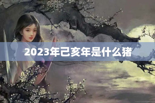 2023年己亥年是什么猪