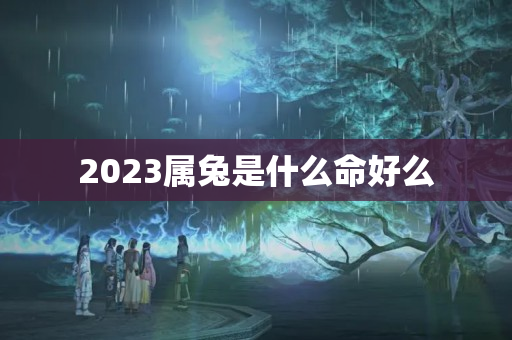 2023属兔是什么命好么