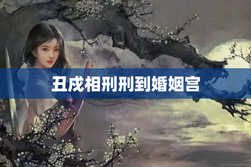 丑戍相刑刑到婚姻宫