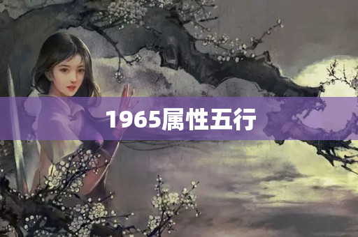 1965属性五行