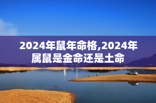 2024年鼠年命格,2024年属鼠是金命还是土命