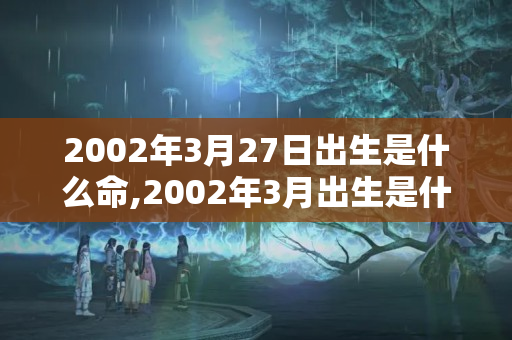 2002年3月27日出生是什么命,2002年3月出生是什么命