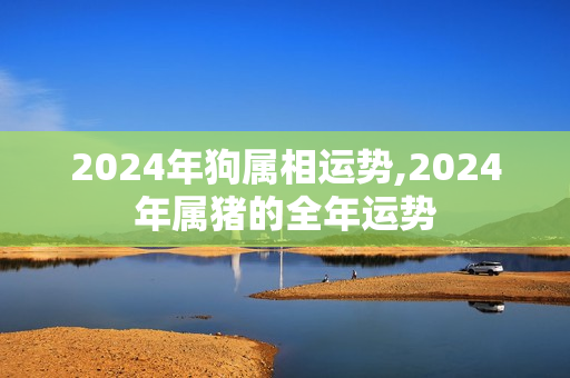 2024年狗属相运势,2024年属猪的全年运势