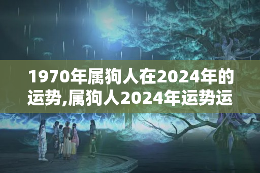 1970年属狗人在2024年的运势,属狗人2024年运势运程