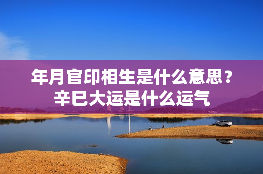 年月官印相生是什么意思？辛巳大运是什么运气