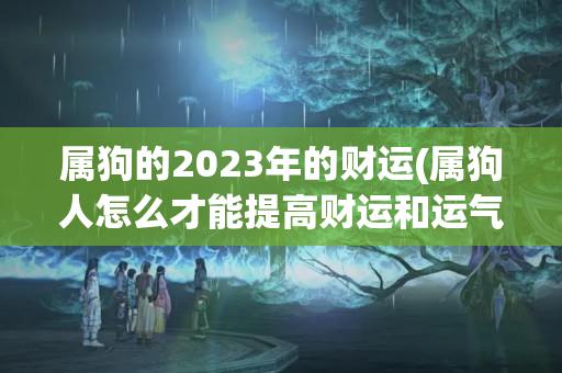 属狗的2023年的财运(属狗人怎么才能提高财运和运气)