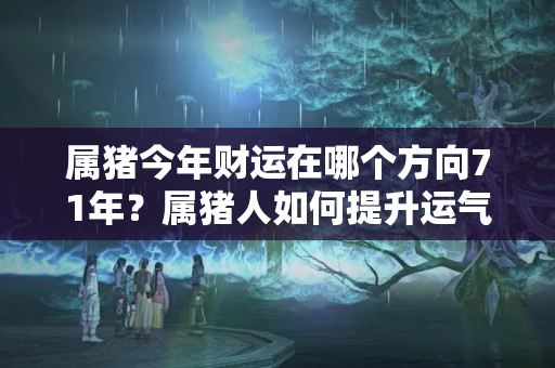 属猪今年财运在哪个方向71年？属猪人如何提升运气