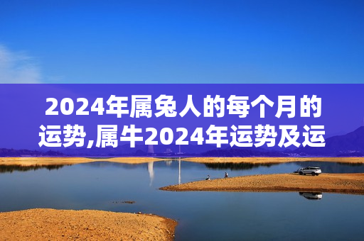 2024年属兔人的每个月的运势,属牛2024年运势及运程