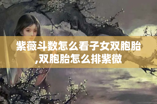 紫薇斗数怎么看子女双胞胎,双胞胎怎么排紫微