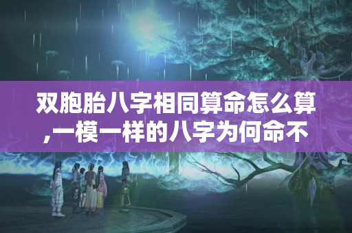 双胞胎八字相同算命怎么算,一模一样的八字为何命不一样