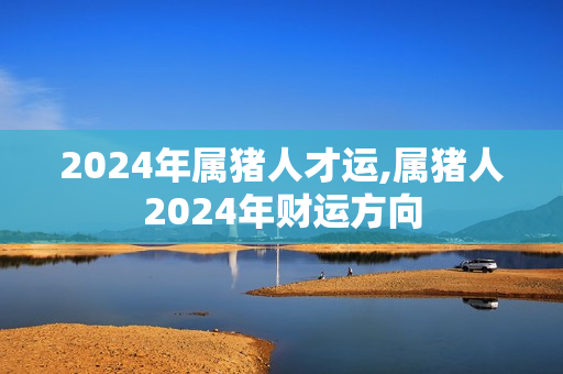 2024年属猪人才运,属猪人2024年财运方向