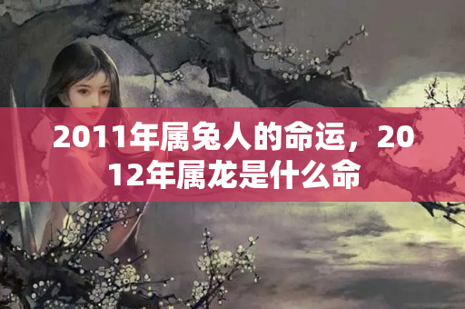 2011年属兔人的命运，2012年属龙是什么命