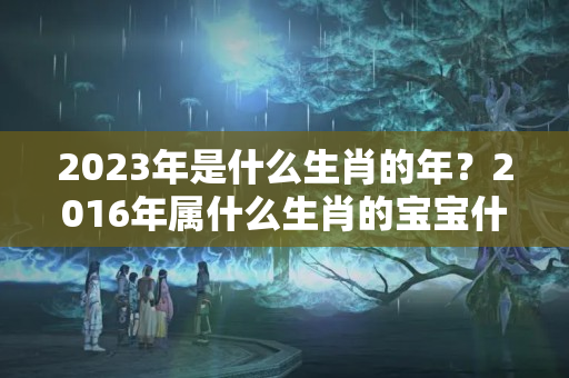 2023年是什么生肖的年？2016年属什么生肖的宝宝什么命