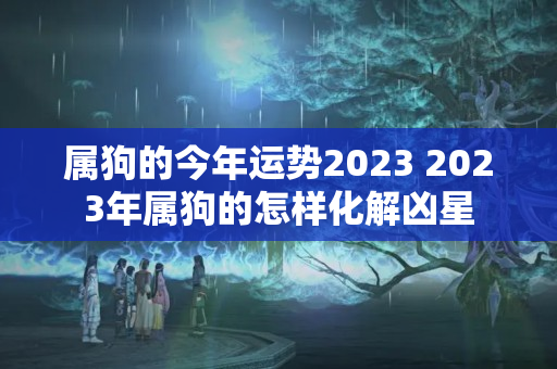 属狗的今年运势2023 2023年属狗的怎样化解凶星