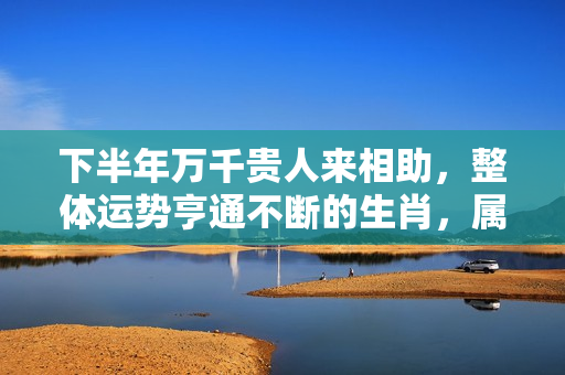 下半年万千贵人来相助，整体运势亨通不断的生肖，属虎的和什么属相合作最好