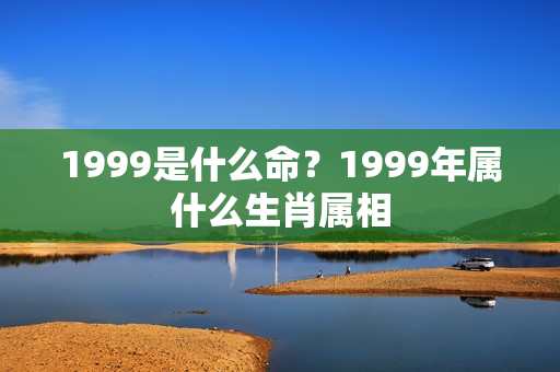 1999是什么命？1999年属什么生肖属相