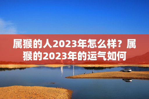 属猴的人2023年怎么样？属猴的2023年的运气如何