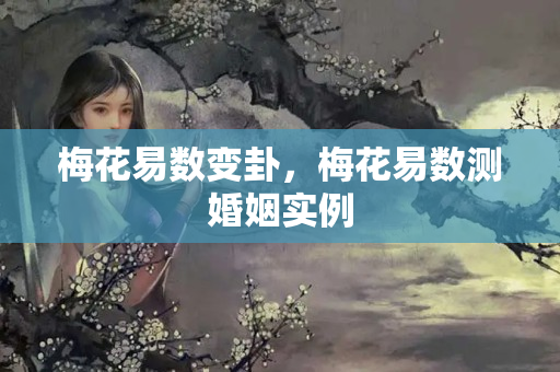 梅花易数变卦，梅花易数测婚姻实例