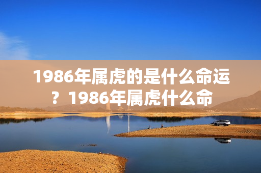 1986年属虎的是什么命运？1986年属虎什么命