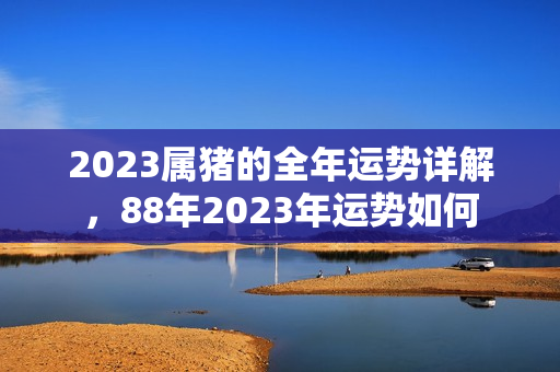 2023属猪的全年运势详解，88年2023年运势如何