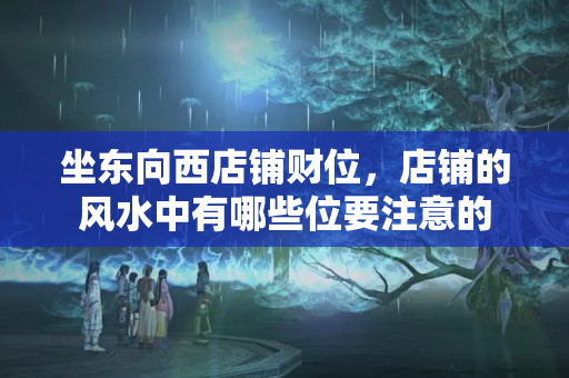 坐东向西店铺财位，店铺的风水中有哪些位要注意的