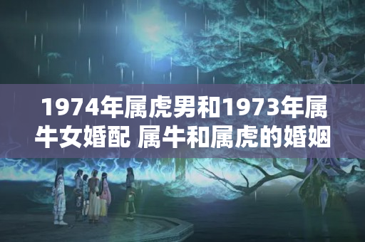 1974年属虎男和1973年属牛女婚配 属牛和属虎的婚姻怎么样73年