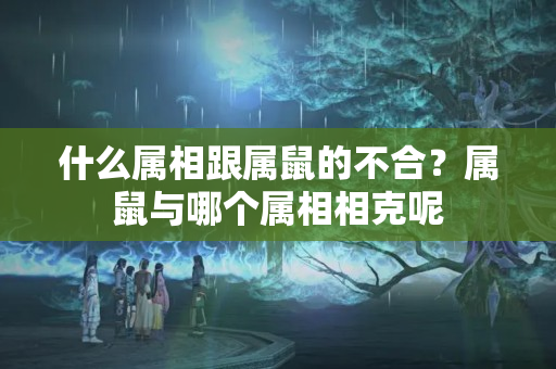 什么属相跟属鼠的不合？属鼠与哪个属相相克呢