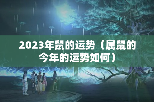 2023年鼠的运势（属鼠的今年的运势如何）