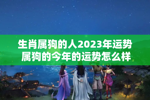 生肖属狗的人2023年运势 属狗的今年的运势怎么样