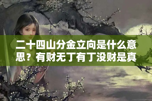 二十四山分金立向是什么意思？有财无丁有丁没财是真的吗