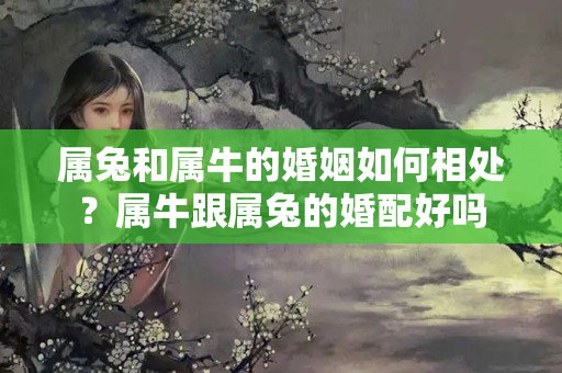 属兔和属牛的婚姻如何相处？属牛跟属兔的婚配好吗