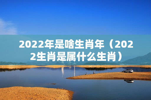 2022年是啥生肖年（2022生肖是属什么生肖）