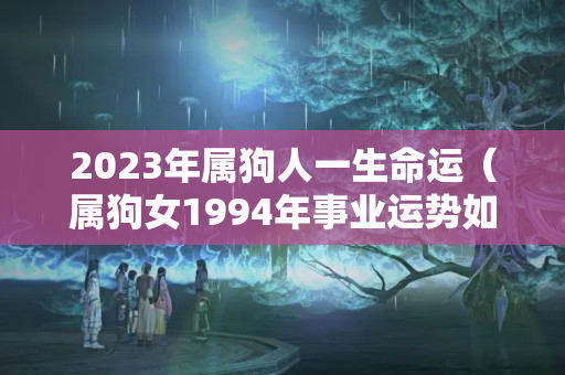 2023年属狗人一生命运（属狗女1994年事业运势如何）