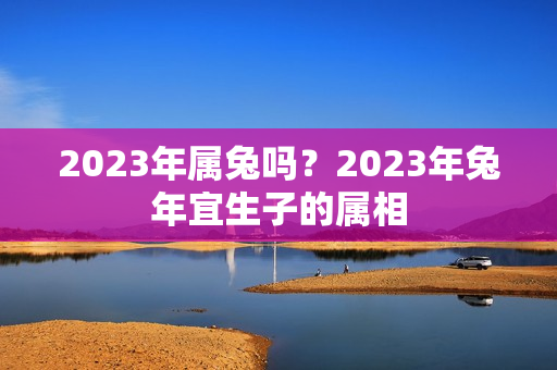 2023年属兔吗？2023年兔年宜生子的属相