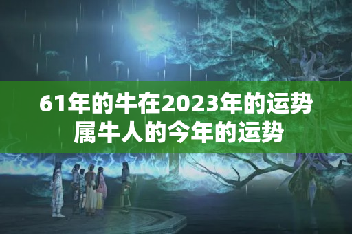 61年的牛在2023年的运势 属牛人的今年的运势