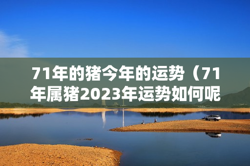 71年的猪今年的运势（71年属猪2023年运势如何呢）