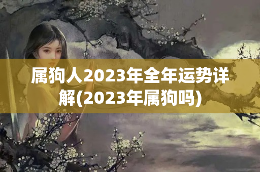 属狗人2023年全年运势详解(2023年属狗吗)