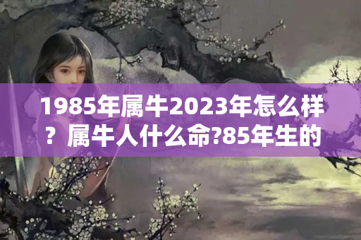 1985年属牛2023年怎么样？属牛人什么命?85年生的