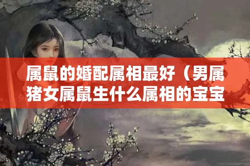 属鼠的婚配属相最好（男属猪女属鼠生什么属相的宝宝最好）