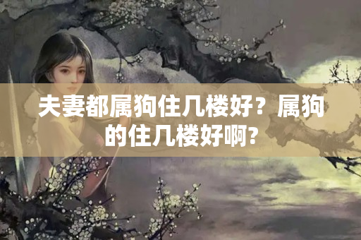 夫妻都属狗住几楼好？属狗的住几楼好啊?