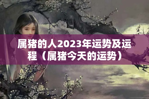 属猪的人2023年运势及运程（属猪今天的运势）