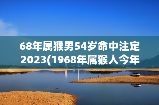 68年属猴男54岁命中注定2023(1968年属猴人今年财运如何)